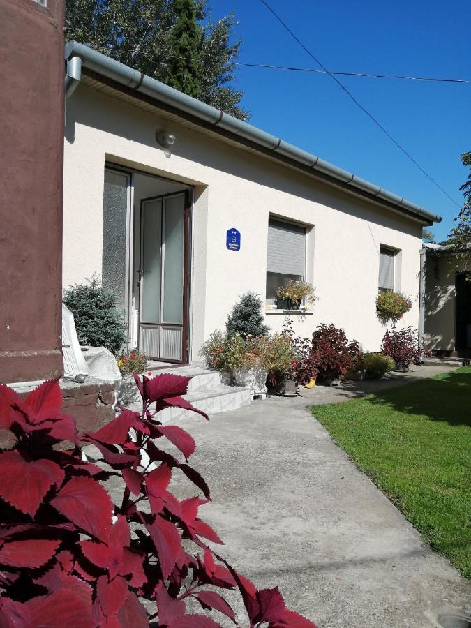 Green Apartment Novi Sad Exterior photo