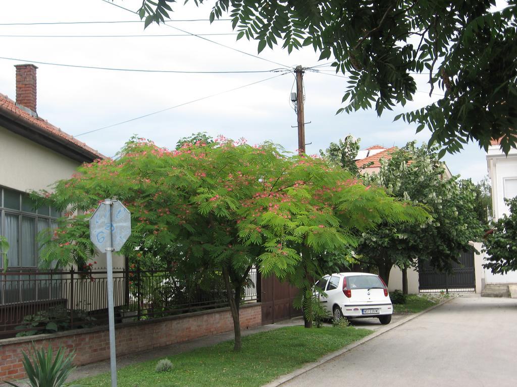 Green Apartment Novi Sad Exterior photo